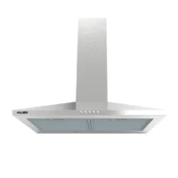 Campana Extractora 60 cm